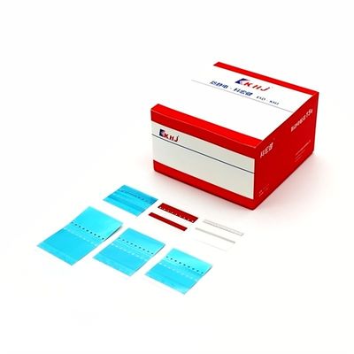 Harga yang pantas 2 Pita splice dengan film poliester untuk cetak resolusi 300 Dpi on line